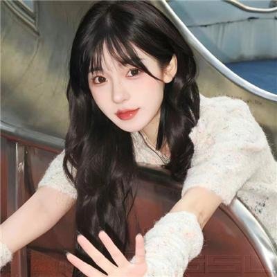 傲骨贤妻第五季海报
